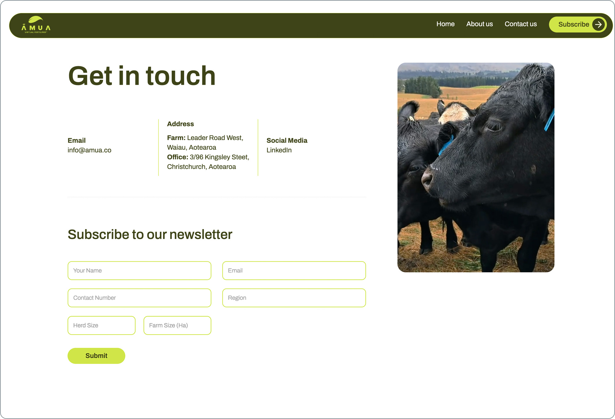 Amua web portfolio page for contact us section